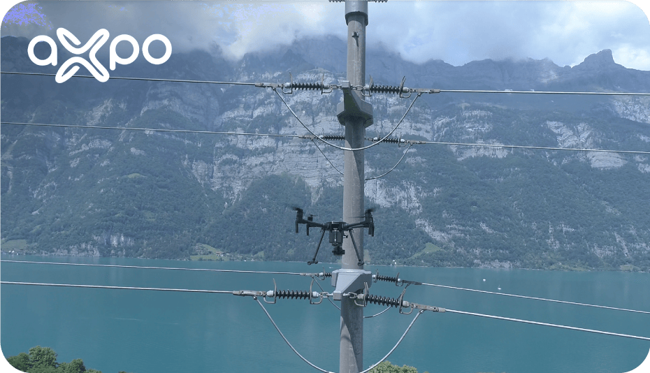 87578---Customer-Quotes-Images-for-Overhead-Lines-AXPO