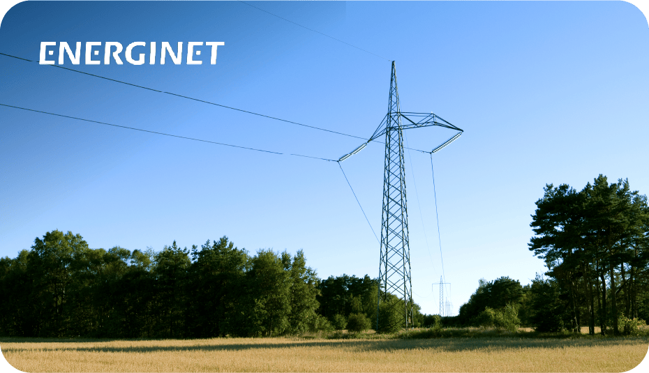 Energinet Quote