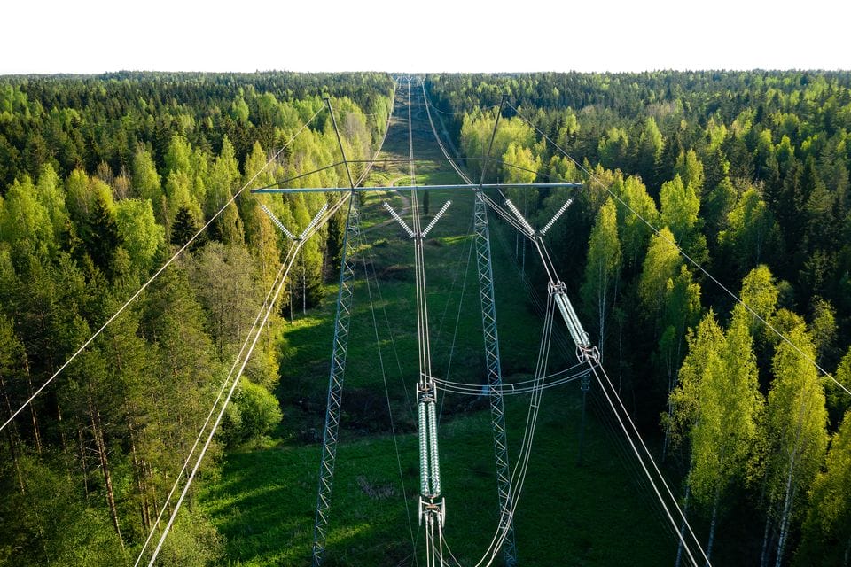 fingrid-forest-grid-vision