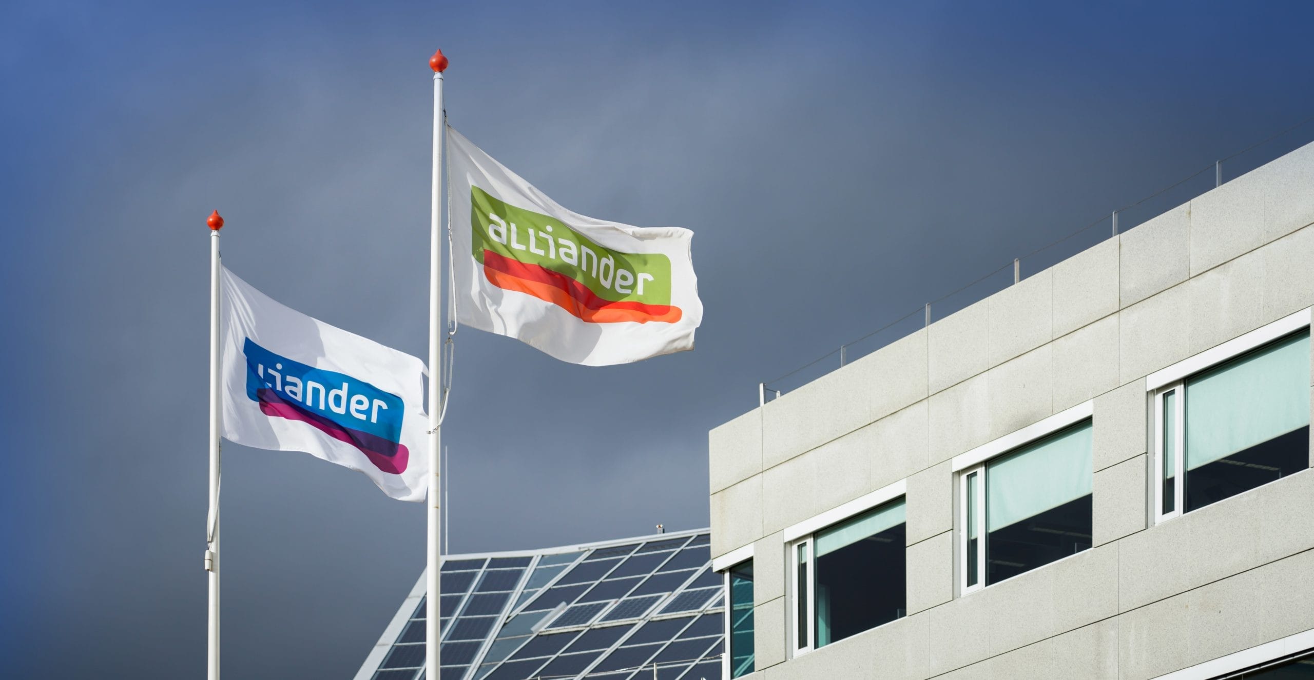 Alliader-HQ-grid-vision